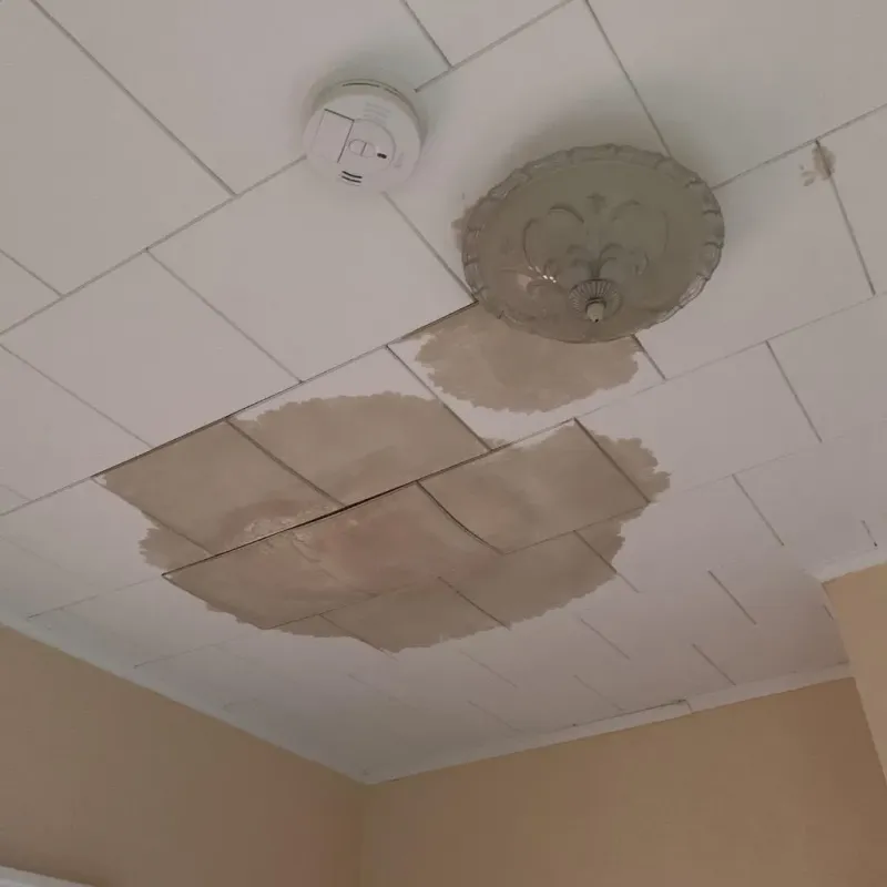 Ceiling Water Damage Repair in East Bethel, MN