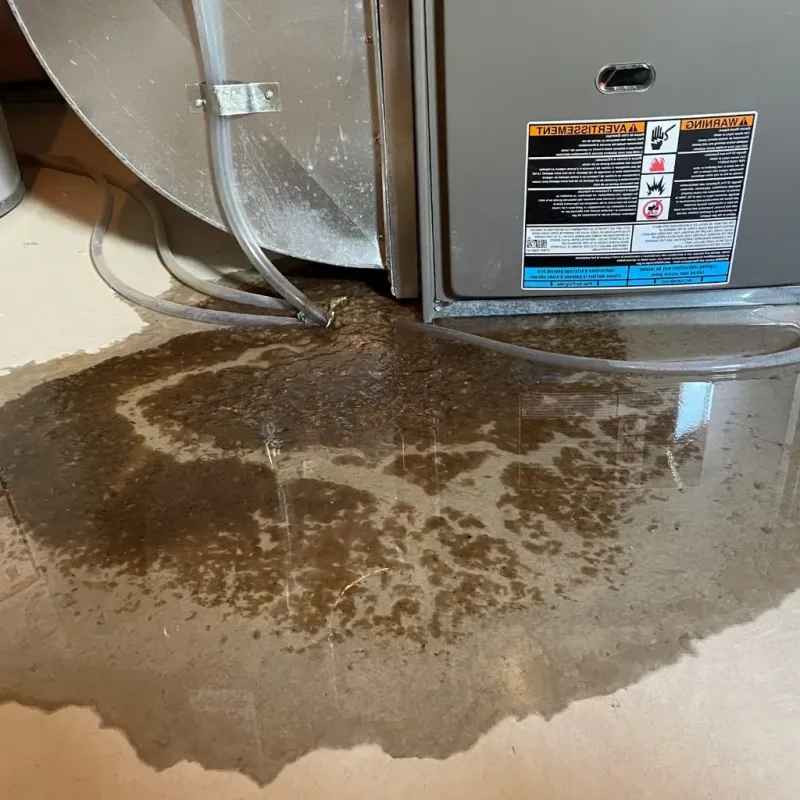 Pipe Burst and Leak Restoration in East Bethel, MN